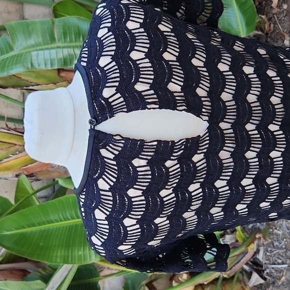 Kate Spade Virginia Scallop Lace Dress Size 10 - Picture 5 of 12